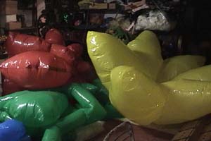 flowers inflated